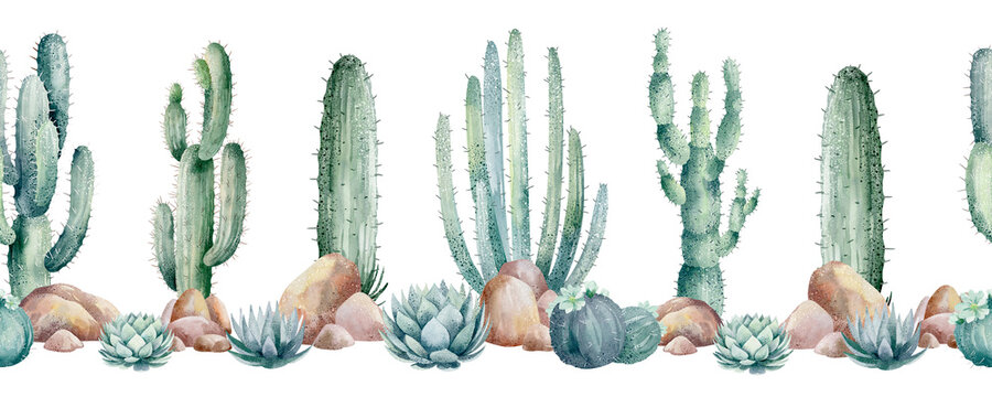 This seamless watercolor pattern features hand-drawn succulents, cacti, and rocks on a white background. Plants in green tones. Suitable for use in projects, greeting cards, invitations, web design.