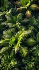 Lush palm leaves filling the frame in a 9:16 aspect ratio, ideal for story format on social media