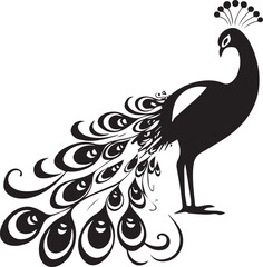 Black silhouette of Peacock on white background