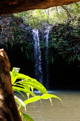 Tropical Waterfall