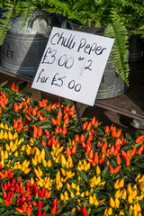 Flowers from a flower market vendor in London