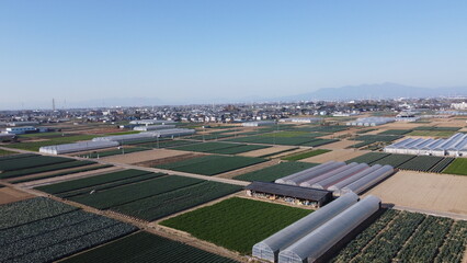 Fototapeta na wymiar 日本の農家　深谷ねぎの畑　ドローン空撮