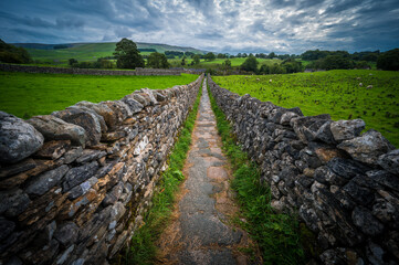 Sheep, green hills, and stone walls in the Yorkshire Dales