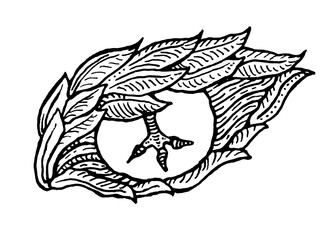 Naklejka premium Eyes feathers wings symbolically tattoo seal stamp