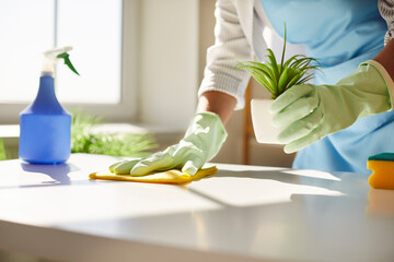 Female cleaner hands in gloves close up, housewife, woman polishing table top with cloths, spray, professional cleaning service working, lady performing home, office duties, tidying up apartment  - obrazy, fototapety, plakaty