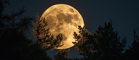 Fototapeta na wymiar Full moon shining in the sky.