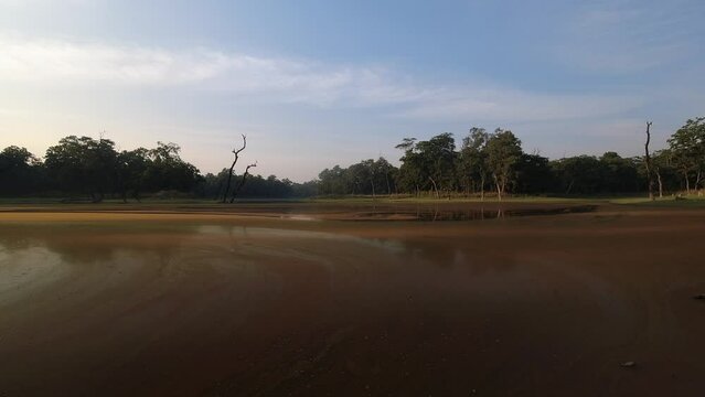 Time lapse of swamp in chitwan national park in Nepal, buffer zone with jungles background