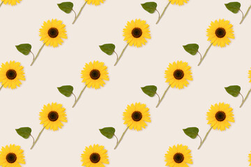 Repetitive pattern made of yellow sunflower on a beige background. Summer creative layout.