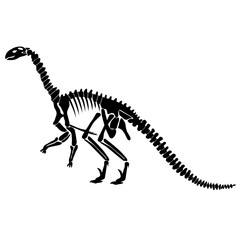 Dinosaur Skeleton Sillhouette