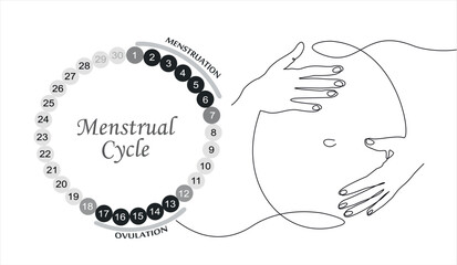 Menstrual cycle. Female calendar planner design.Continuous One line of pregnant woman with heart silhouette on white background. The concept of Menstrual cycle, new life.