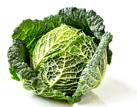Wirsing kohl isoliert auf wei&szlig;em Hintergrund, Freisteller 