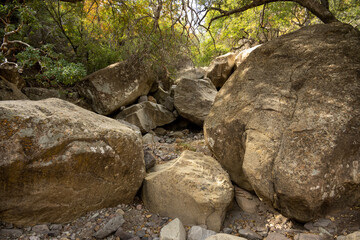 Naklejka na ściany i meble Boulders Gather In A Wash Along Juniper Canyon Trail In Big Bend