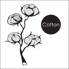 Branch of cotton with flowers and tangles with leaves. wildflowers with stems, floral and botanical elements in sketch style. isolated.