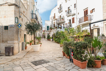 Narrow street with bars and restaurants in the center of the Polignano a Mare village, in province...
