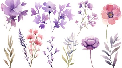 Fototapeta na wymiar a set of watercolor flowers and leaves on a white background with a pink, purple, and red color scheme.