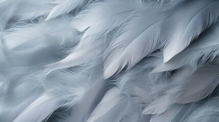Fototapeta premium a bunch of white feathers that are all over the surface of a surface of white feathers that are all over the surface of the surface of the surface of the surface of the surface of the surface of the.