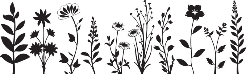 Inky Petal Boundary Black Vector Botanical Logo Monochrome Floral Frame Botanical Vector Icon Design