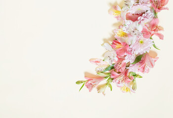 alstroemeria and chrysanthemums  flowers on yellow  background