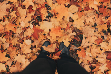 High angle view of person standing in fall leaves in black shoes and black pants in Chicago