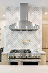 Kitchen Stove Top and Vent Hood in Modern Home