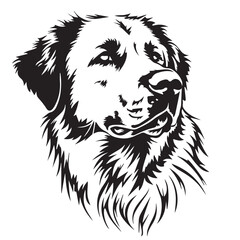 Dog Breed Pyrenean 2d Flat Vector