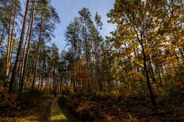 Herbstspaziergang in Podlachien, Ostpolen