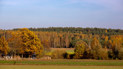Herbstspaziergang in Podlachien, Ostpolen - obrazy, fototapety, plakaty