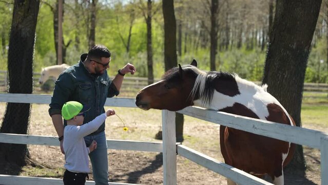 A father and a small child are feeding horses standing behind a fence