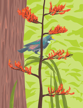 Art Deco or WPA poster of a Chatham Island tui, a large honeyeater bird native to New Zealand perching on a Phormium tenax, harakeke or New Zealand flax done in works project administration style.
