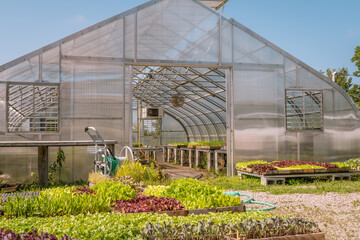 Greenhouse at organic vegetable farm.