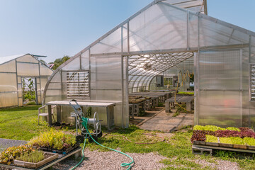 Greenhouse at organic vegetable farm.