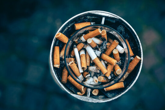 un cendrier plein de cigarette et m&eacute;gots