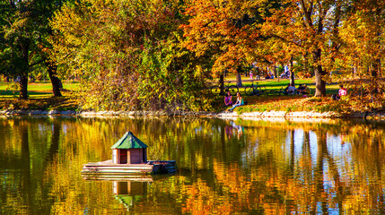 Macedonia - Skopje, October 29, 2023, Skopje city park with yellowed leaves on the trees in autumn