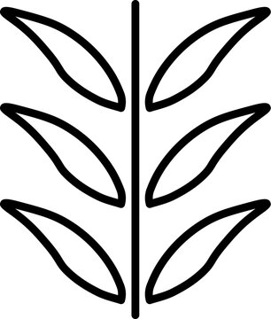 Leaf Picture Drawn with Thin Line. Perfect for design, infographics, web sites, apps