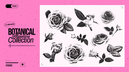Set of different roses. Vintage flower elements with a grainy photocopy effect for anti-design. Grunge dotted elements with stippling effect. Vector illustration. - obrazy, fototapety, plakaty