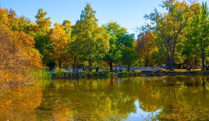 Macedonia - Skopje, October 29, 2023, Skopje city park with yellowed leaves on the trees in autumn