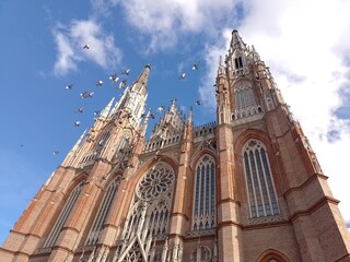 Bandada de pájaros en la catedral