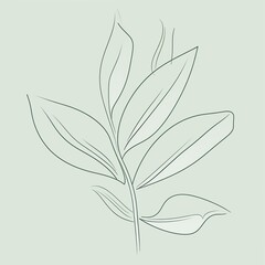 sage green art in a one-line style, pencil line art, white background, simple, Matisse style