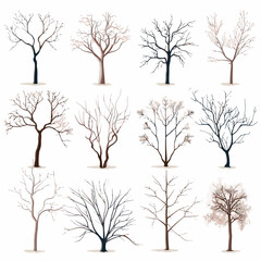 Obraz premium Winter bare trees collections 