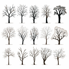 Winter bare trees collections 