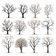 Winter bare trees collections 