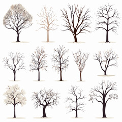 Winter bare trees collections 