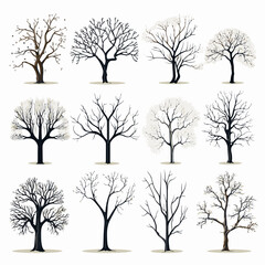 Winter bare trees collections 