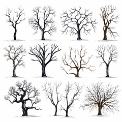 Winter bare trees collections 