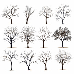 winter tree bare trees collection