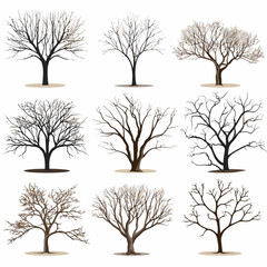 winter tree bare trees collection