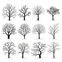 Obraz premium winter tree bare trees collection