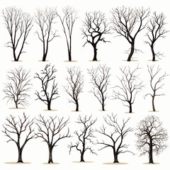 winter tree bare trees collection