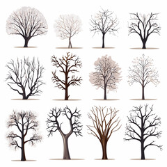 winter tree bare trees collection