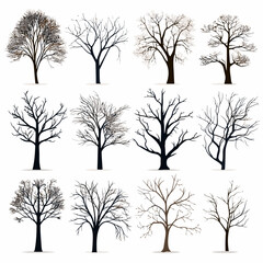Obraz premium winter tree bare trees collection
